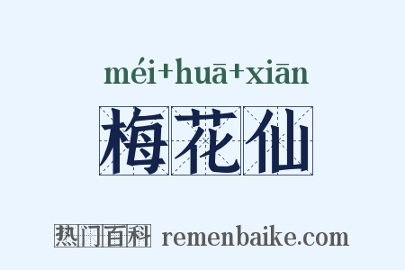 梅花仙是什么意思的图片